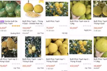 Hàng nông sản đặc sản Việt Nam bán trên sàn TMĐT tăng vọt trong năm 2021