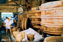 Masan mất 5.000 tỷ vốn hóa vì liên quan dự thảo tiêu chuẩn nước mắm?