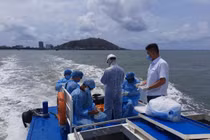 Một người lén thăm thuyền viên cách ly tại cảng Cát Lái