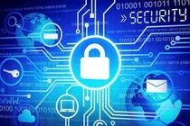 Internet phát triển lên đến 333,8 triệu tên miền