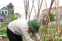 Lương công chức xã phường 'bèo bọt', vì sao còn cố làm?