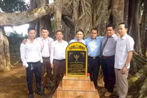 Cây đa 200 tuổi ở Đăk Nông được công nhận Cây Di sản Việt Nam