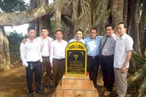 Cây đa 200 tuổi ở Đăk Nông được công nhận Cây Di sản Việt Nam
