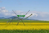 Sau phát hành cổ phiếu chuyển đổi, Hoàng Anh Gia Lai nắm giữ dưới 51% vốn Agrico