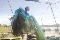 Đánh cược trên sông Bồ