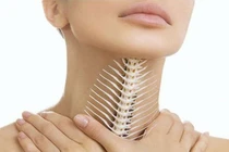 Không tập trung ăn nên hóc