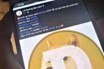 Dự án 'coin rác' đằng sau lời mời gọi của Ngọc Trinh, Kiều Minh Tuấn