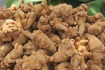 Tam thất chữa đau bụng, kinh ít 