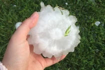  Ứng phó với mưa đá