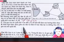 Khởi tố 2 cựu giảng viên Đại học Sư phạm Hà Nội