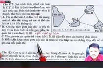 Khởi tố 2 cựu giảng viên Đại học Sư phạm Hà Nội