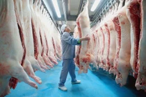 Doanh thu thịt mát của Masan tăng gấp đôi nhờ dịch tả lợn