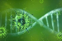 Biến thể Covid-19 mới phát hiện tại Việt Nam nguy hiểm ra sao?