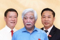 Trăn trở của những đại biểu rời nghị trường
