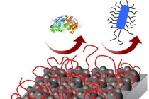 Lớp phủ bạc mới cho các thiết bị y tế cấy ghép diệt vi khuẩn ngăn ngừa nhiễm trùng