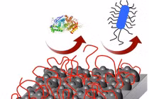 Lớp phủ bạc mới cho các thiết bị y tế cấy ghép diệt vi khuẩn ngăn ngừa nhiễm trùng