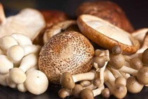 Chọn nấm ăn Tết tốt cho sức khỏe