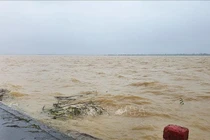 Cánh đồng lúa ở xã Hải Quế, huyện Hải Lăng bị nhấn chìm trong nước do mưa lớn. Ảnh minh họa.