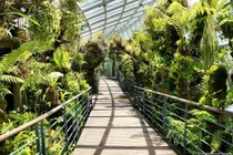 Việt Nam cần có vườn thực vật quốc gia