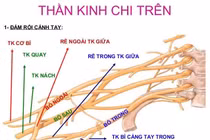 Con liệt tay vì được quăng đùa