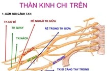 Con liệt tay vì được quăng đùa