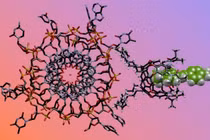 “Mũi hóa học” đánh hơi khác biệt quan trọng trong cấu trúc ADN