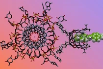 “Mũi hóa học” đánh hơi khác biệt quan trọng trong cấu trúc ADN