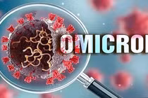 WHO bổ sung biến thể phụ BA.4 và BA.5 vào danh sách các biến thể cần theo dõi 