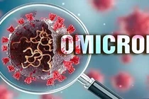WHO bổ sung biến thể phụ BA.4 và BA.5 vào danh sách các biến thể cần theo dõi 