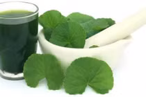  Thực phẩm giải độc