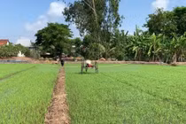 Xe phun thuốc trừ sâu tự hành