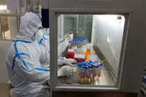 BA.4 và BA.5 chiếm đến 60% số ca mắc COVID-19 tại Nam Phi