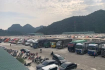 Lạng Sơn đề nghị tạm dừng đưa hàng lên cửa khẩu tới Tết Nguyên đán 