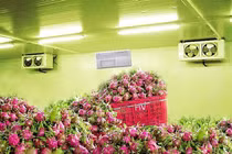 Điện phân nước muối bảo quản nông sản