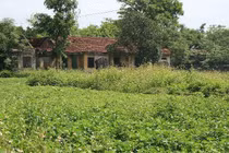 Khoa thi võ đầu tiên – kỳ 2: Những Tiến sĩ võ