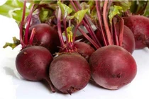 Thận trọng khi sử dụng củ dền