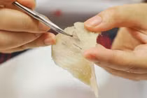 Các “siêu chất” làm tổ yến luôn “đắt giá”