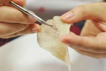 Các “siêu chất” làm tổ yến luôn “đắt giá”