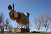 Bức tượng gà khổng lồ nổi tiếng nhất nước Mỹ