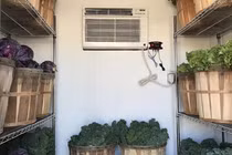 Giữ rau tươi lâu bằng kho lạnh