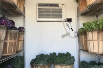 Giữ rau tươi lâu bằng kho lạnh