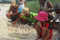 Bảo tồn rùa quý hiếm ở biển đảo Cồn Cỏ