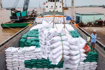 Tân Cảng Hiệp Phước tạm ngừng dịch vụ đóng rút gạo đến giữa tháng 9