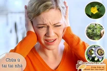 Thảo dược trị ù tai 