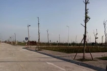 Thanh Hóa “thúc” thu hồi tiền đấu giá quyền sử dụng đất