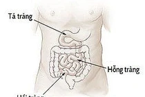 Ruột non khó tiếp cận nhất trong hệ thống tiêu hóa 