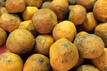 Tỏi giữ bưởi tươi lâu