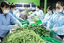 Bộ GTVT yêu cầu các tỉnh, thành phố cần tạo lập nhóm thông tin trên zalo, viber, facebook… để hỗ trợ vận chuyển nông sản.