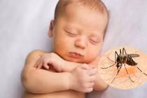 Lo lắng vì con hay bị muỗi đốt mùa sốt xuất huyết
