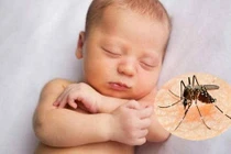 Lo lắng vì con hay bị muỗi đốt mùa sốt xuất huyết
